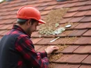 Démoussage de toiture et entretien des gouttières à Paris 6 75006