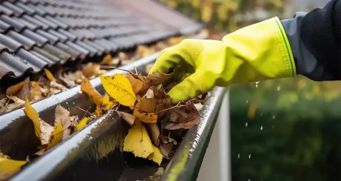 Démoussage de toiture et entretien des gouttières à Paris 4 75004
